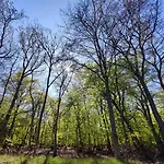 Ξενοδοχείο Schloesschen Sundische Wiese Zingst