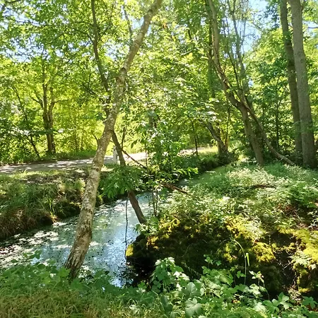 Schloesschen Sundische Wiese 3* זינקסט