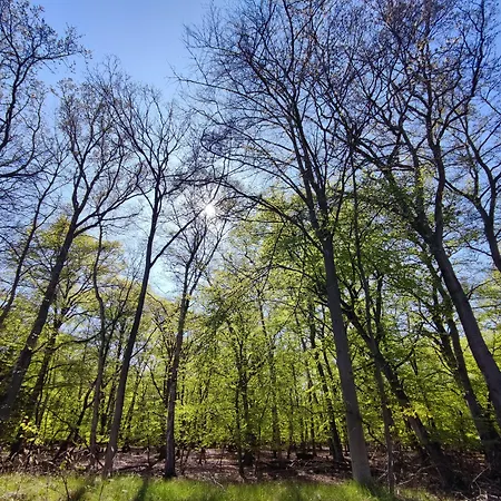 Szálloda Schloesschen Sundische Wiese Zingst