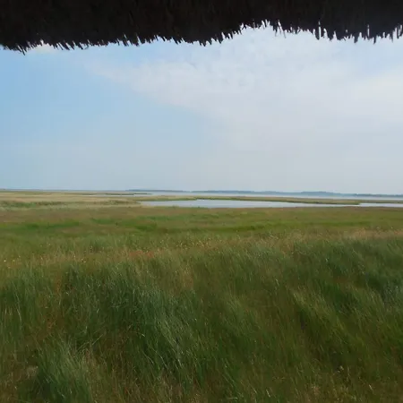 Schloesschen Sundische Wiese 3* Zingst